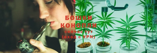 стаф Каменка