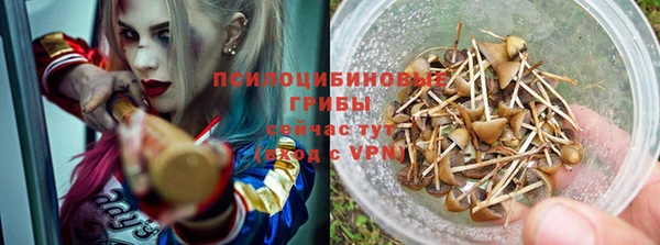 таблы Богородицк