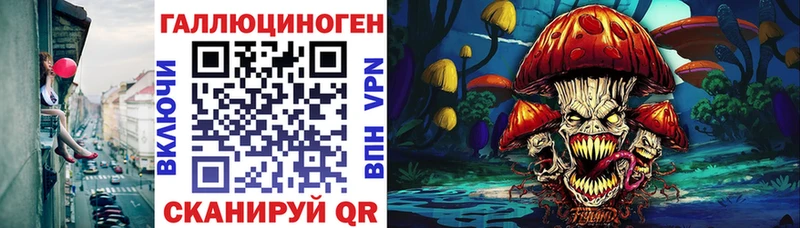mega ССЫЛКА  Волжск  Псилоцибиновые грибы Psilocybe 